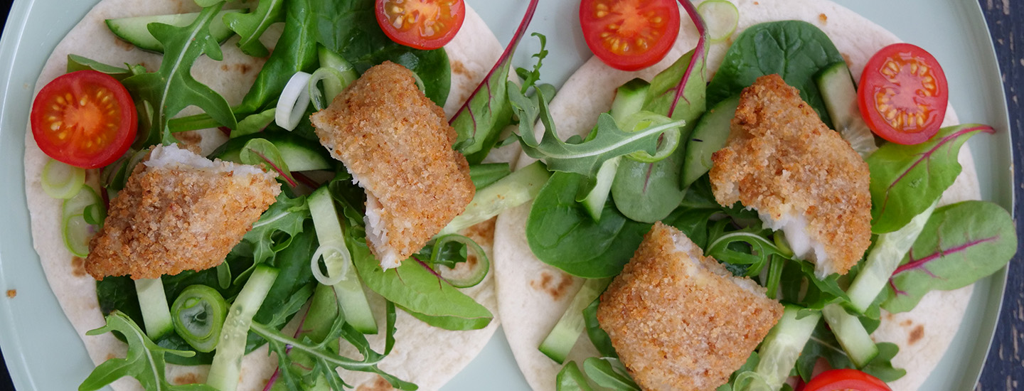 Rapea kalawrap salaatilla