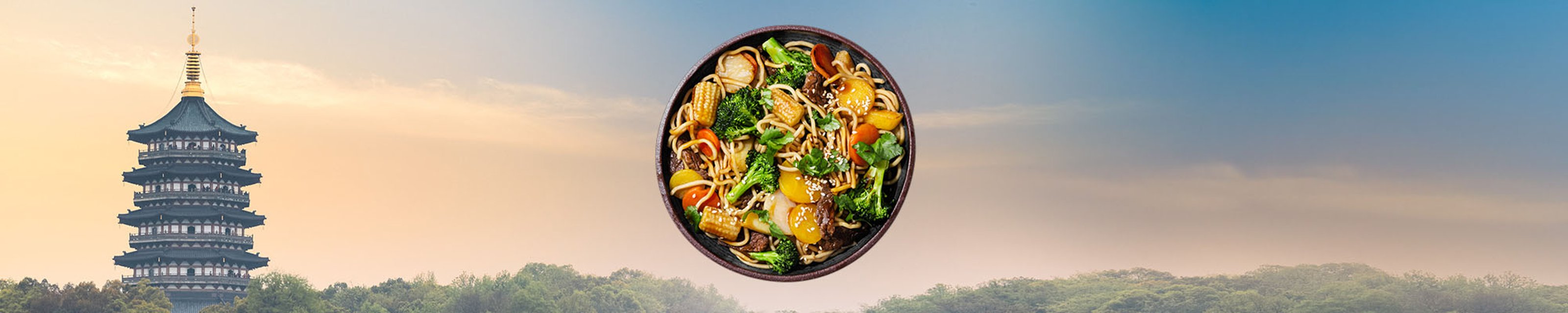 FI-WOK-category-2000x400px-Classic-850g.jpg