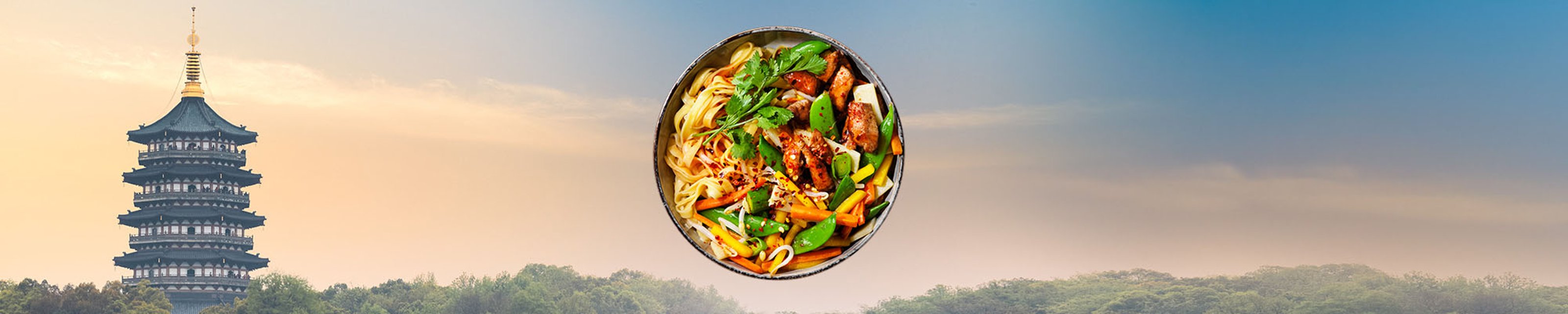 FI-WOK-category-2000x400px-vietnam-450g.jpg