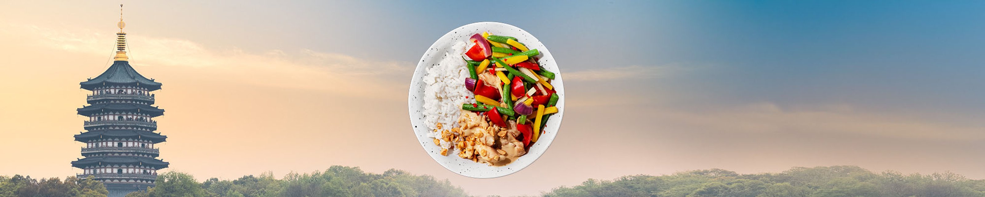 FI-WOK-category-2000x400px-Zanju-450g.jpg