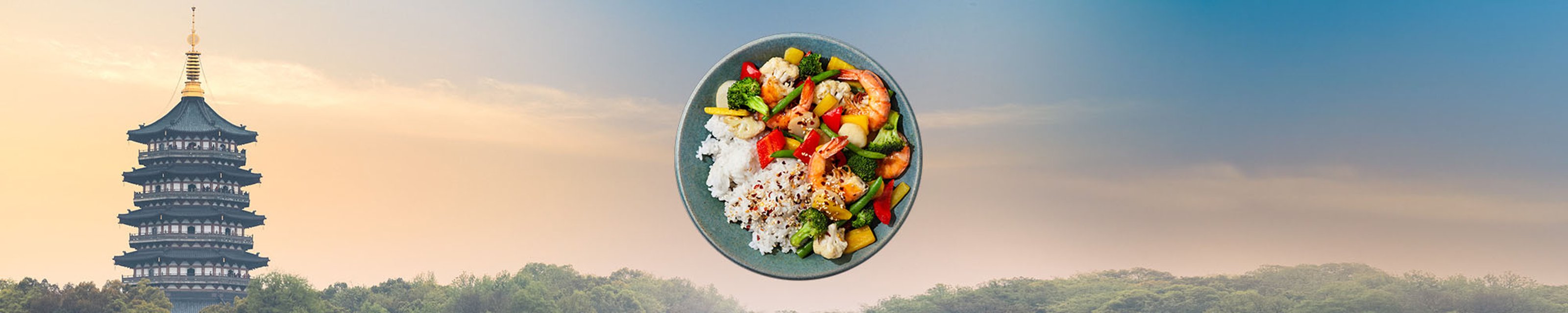 FI-WOK-category-2000x400px-Bali-450g.jpg