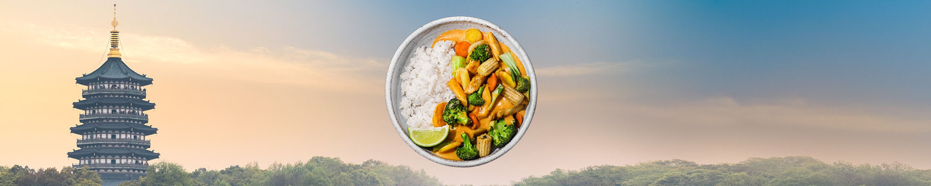 FI-WOK-category-2000x400px-Classic-450g.jpg